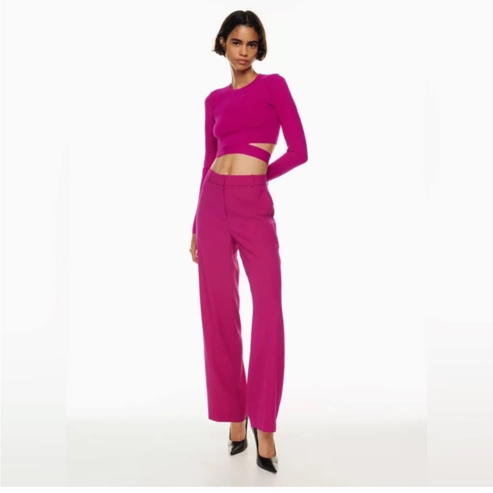Aritiza Agency pant
